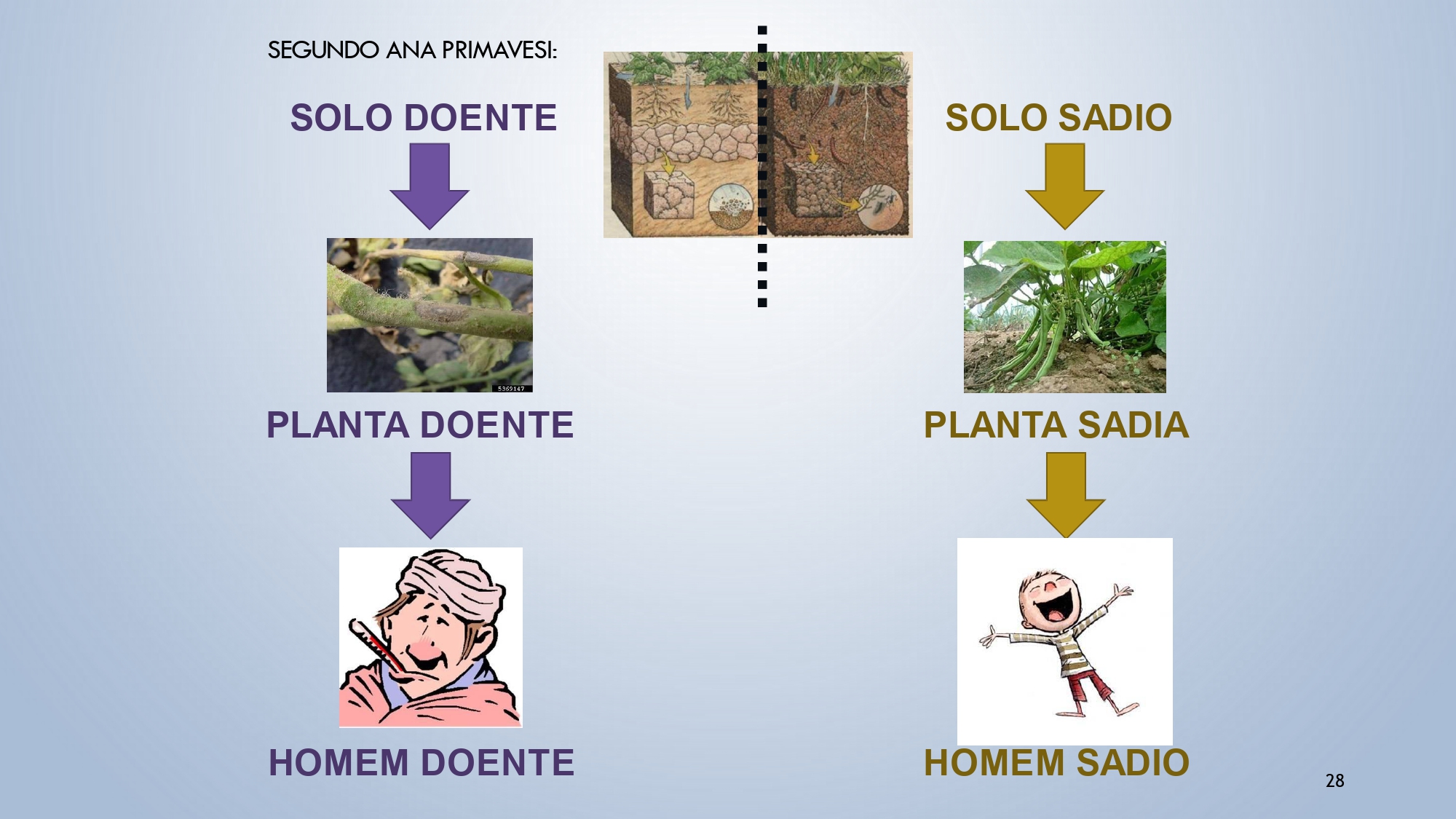 CAPA Homeopatia em Plantas - Agroecologia 3_page-0034