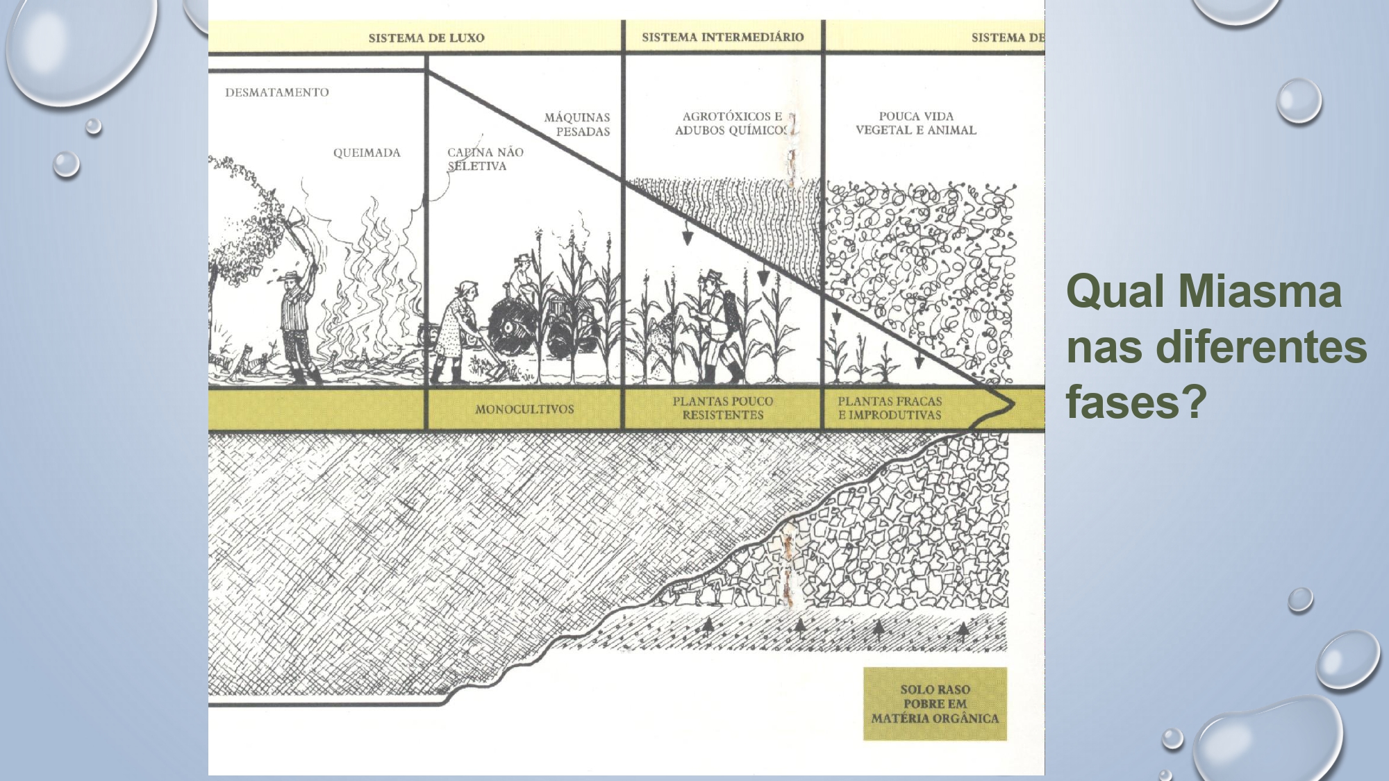 CAPA Homeopatia em Plantas - Agroecologia 3_page-0040