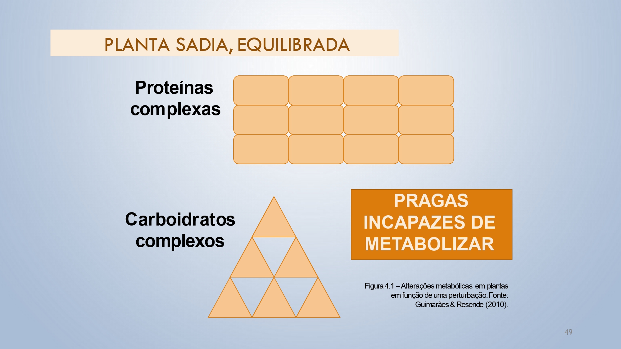 CAPA Homeopatia em Plantas - Agroecologia 3_page-0049