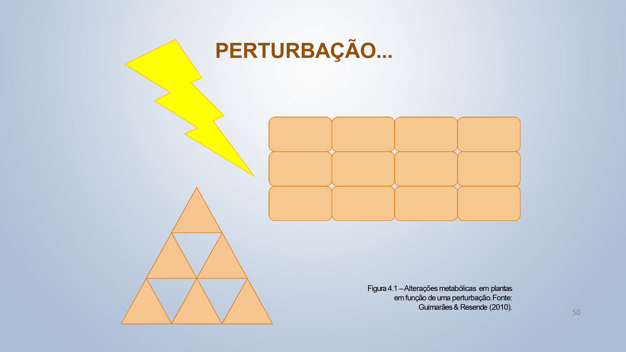 CAPA Homeopatia em Plantas - Agroecologia 3_page-0050