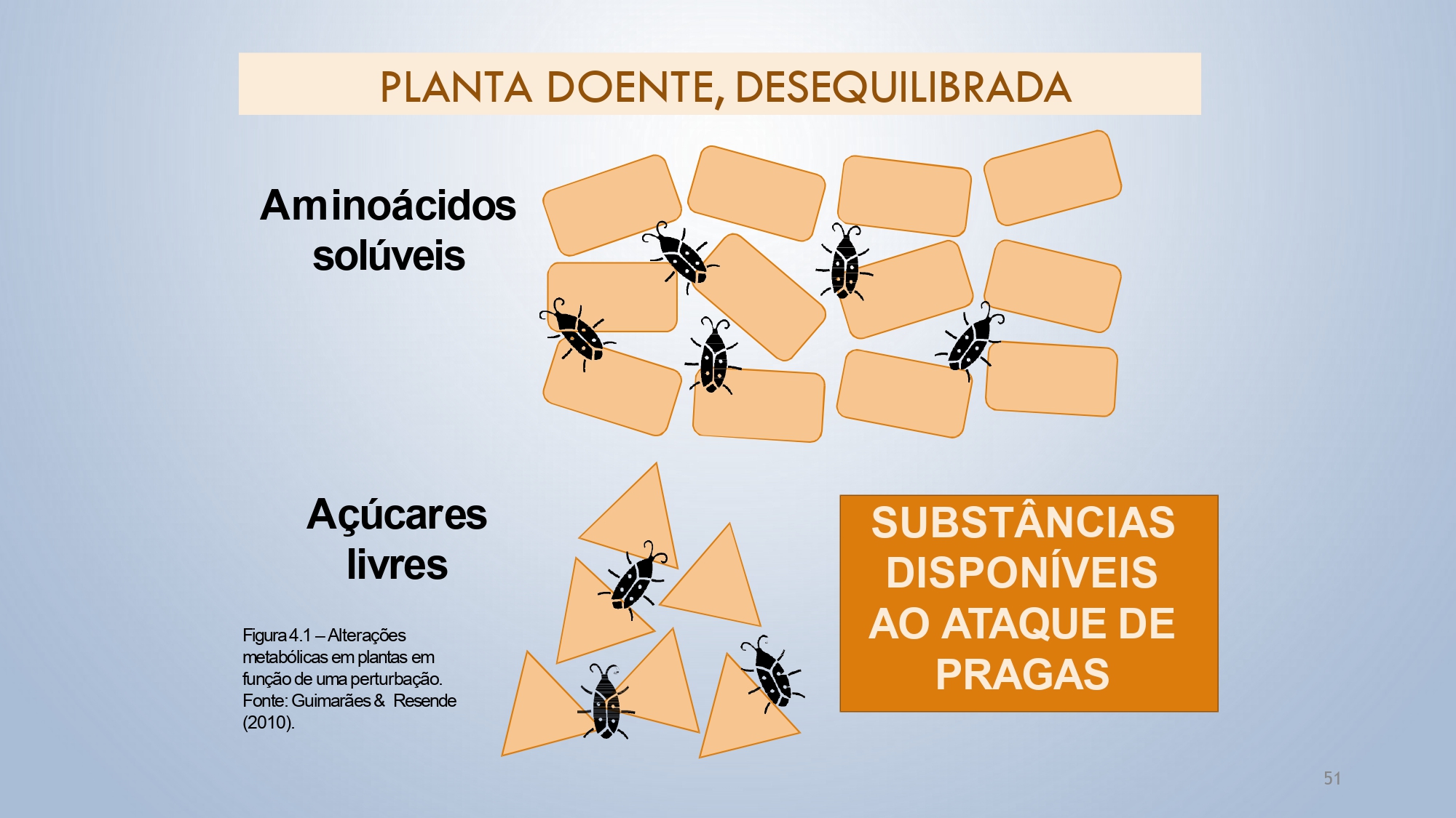 CAPA Homeopatia em Plantas - Agroecologia 3_page-0051