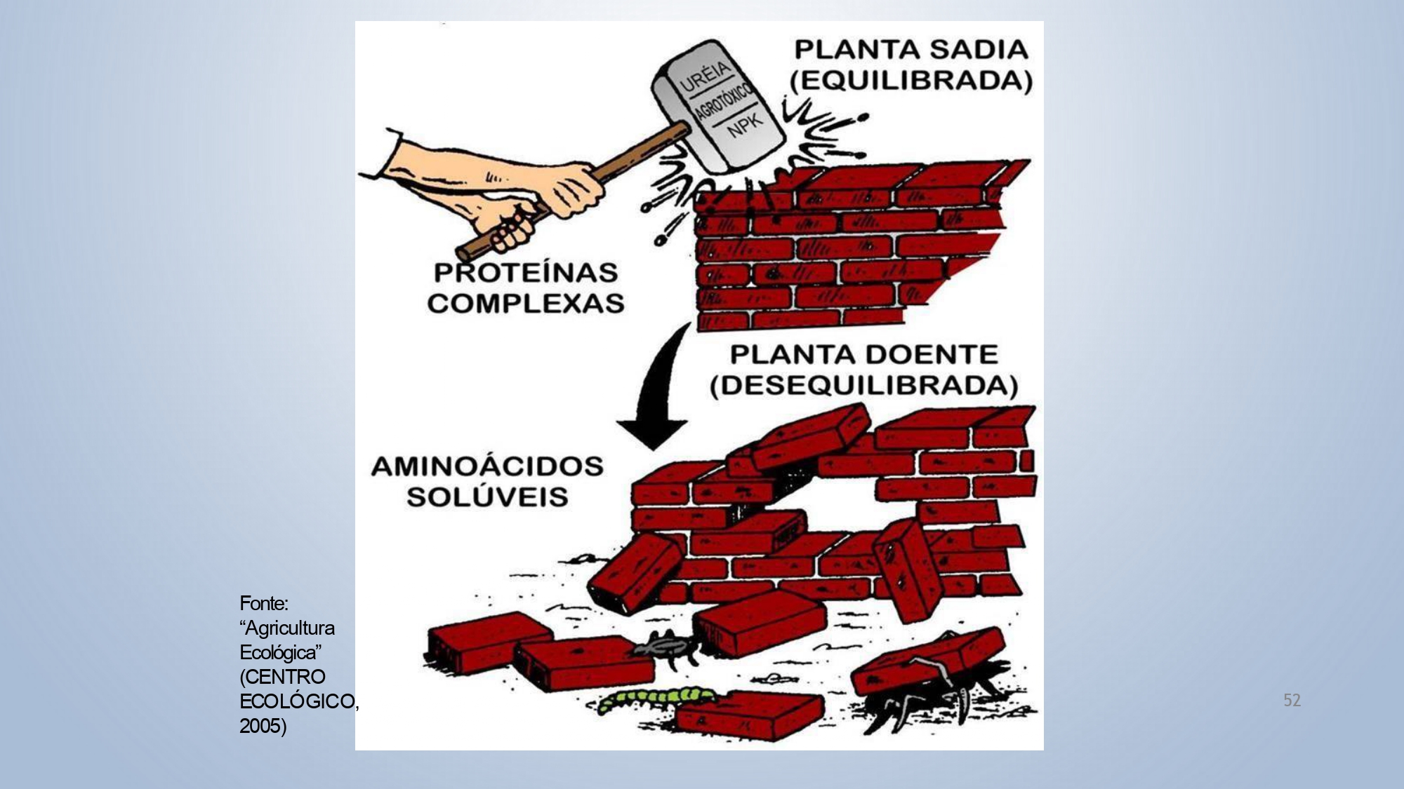 CAPA Homeopatia em Plantas - Agroecologia 3_page-0052