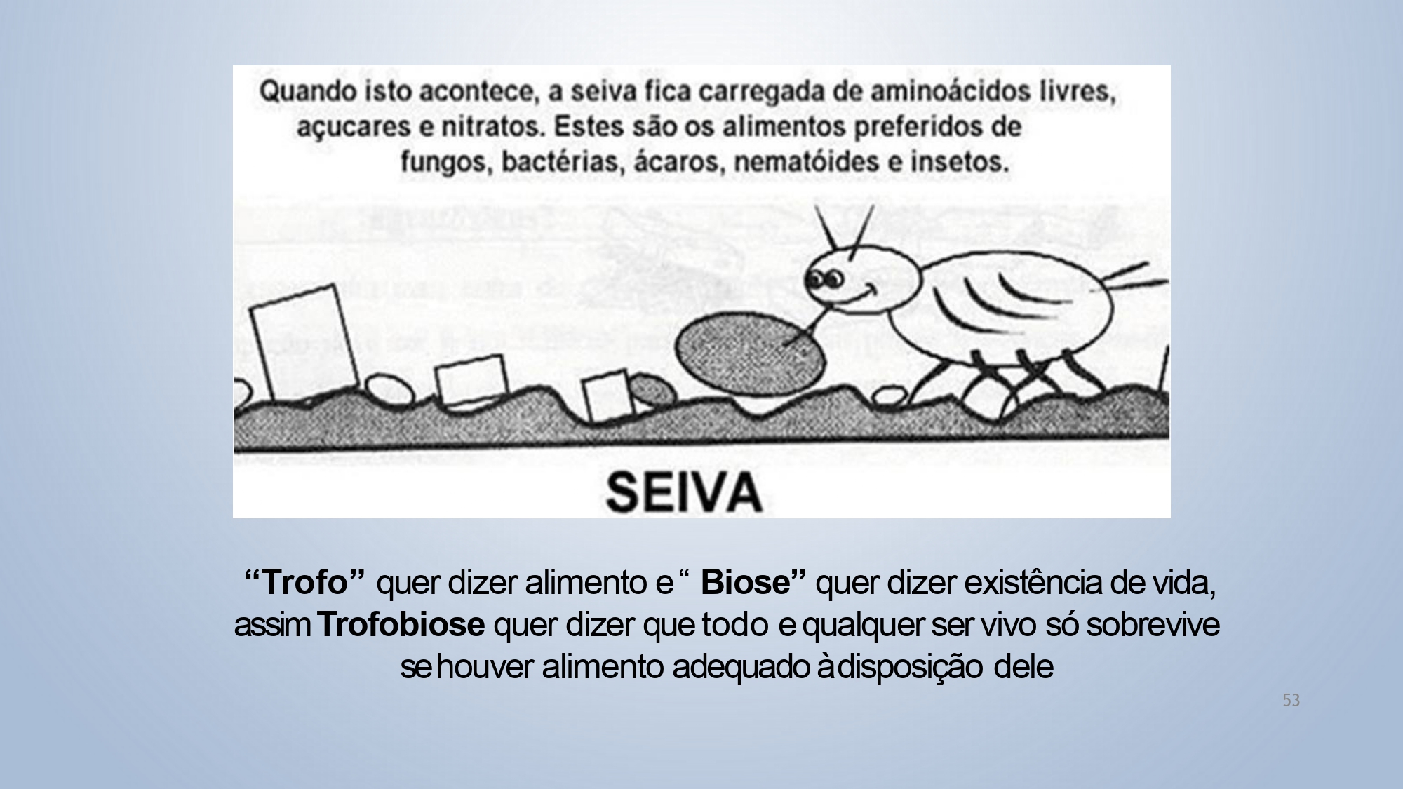 CAPA Homeopatia em Plantas - Agroecologia 3_page-0053