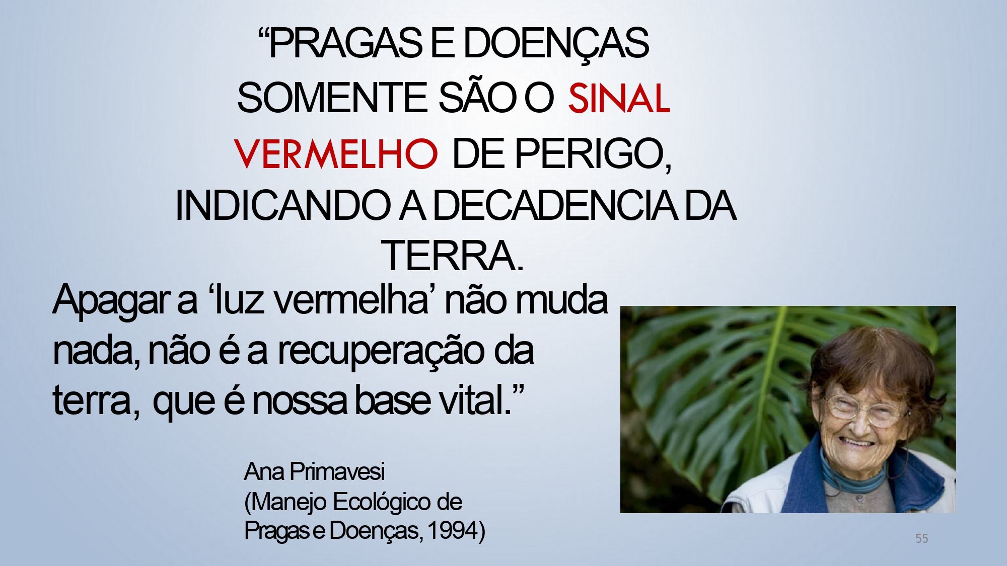 CAPA Homeopatia em Plantas - Agroecologia 3_page-0055