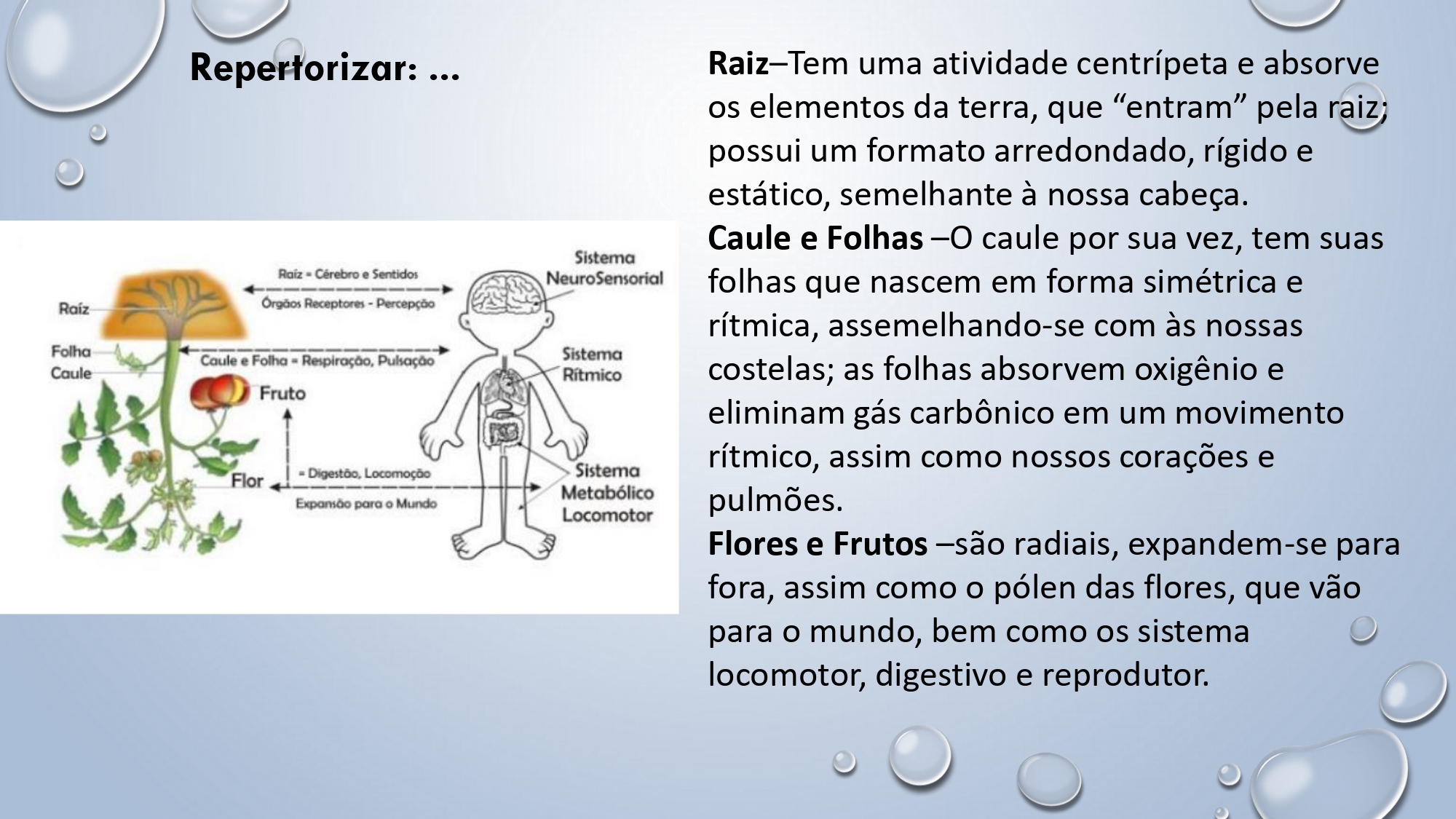 CAPA Homeopatia em Plantas - Agroecologia 3_page-0068