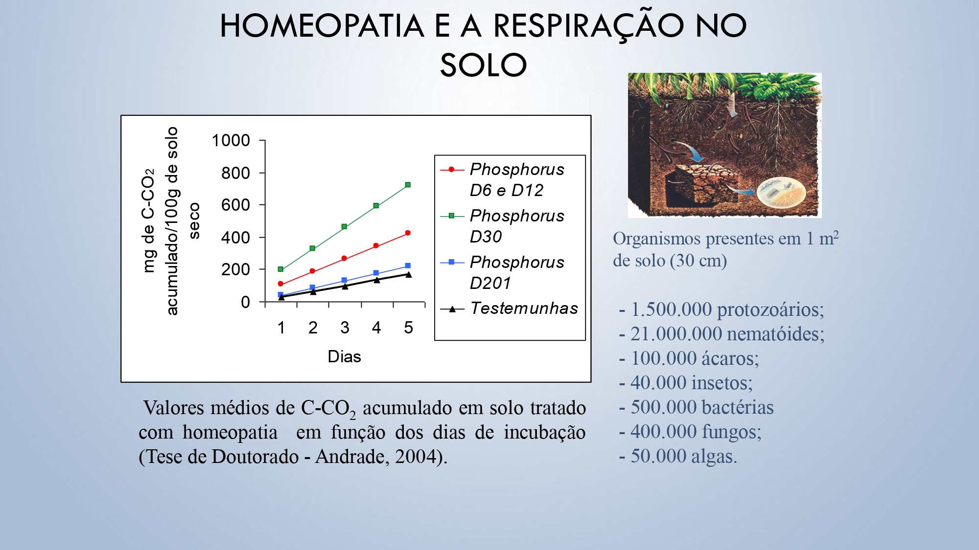 CAPA Homeopatia em Plantas - Agroecologia 3_page-0070