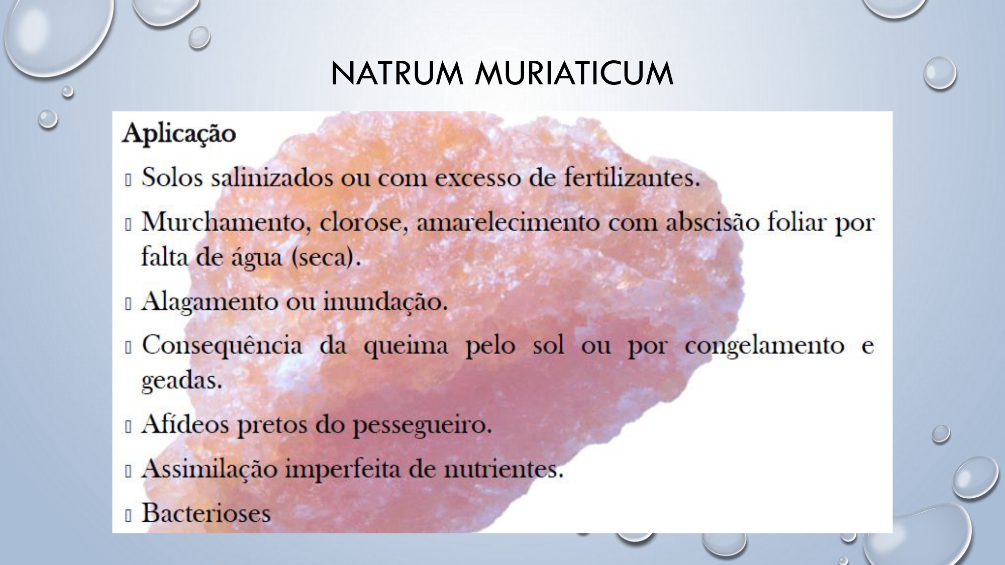 CAPA Homeopatia em Plantas - Agroecologia 3_page-0087