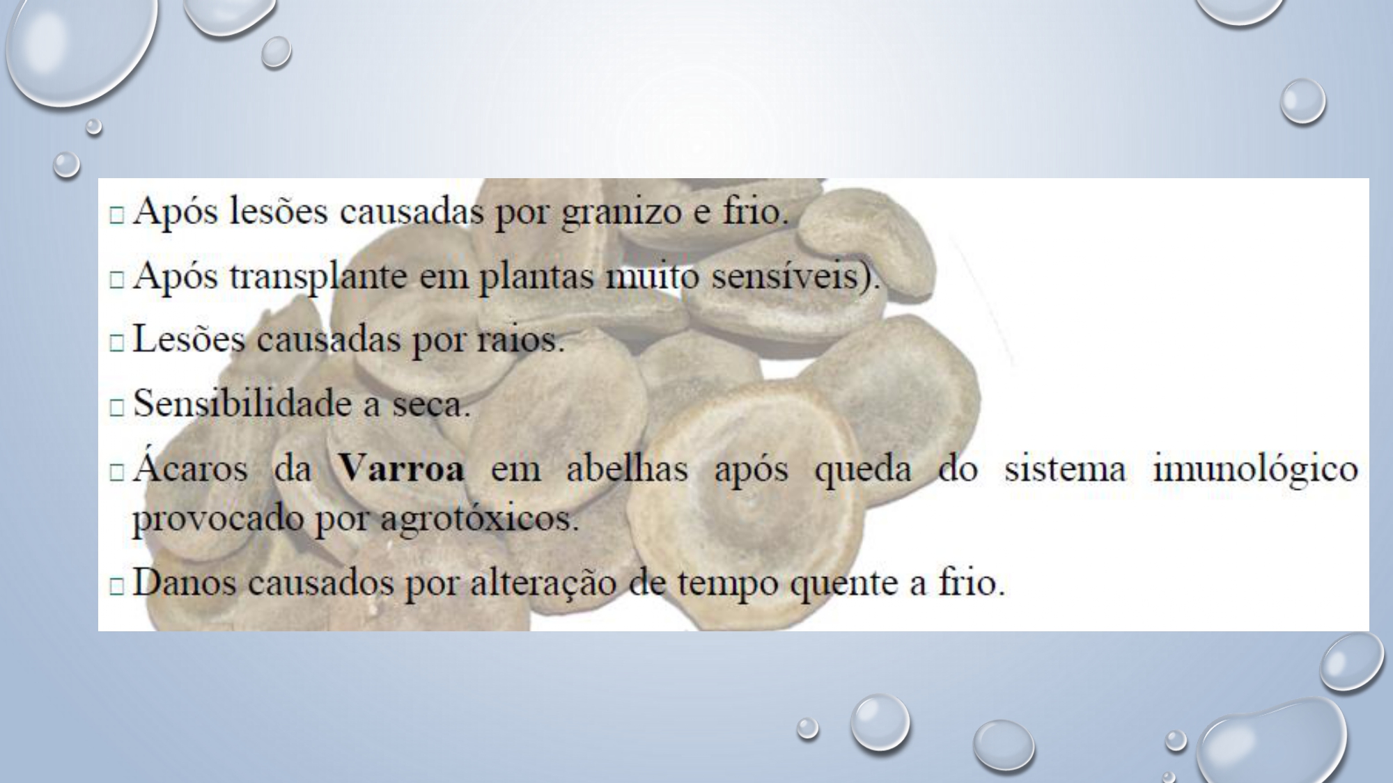 CAPA Homeopatia em Plantas - Agroecologia 3_page-0089