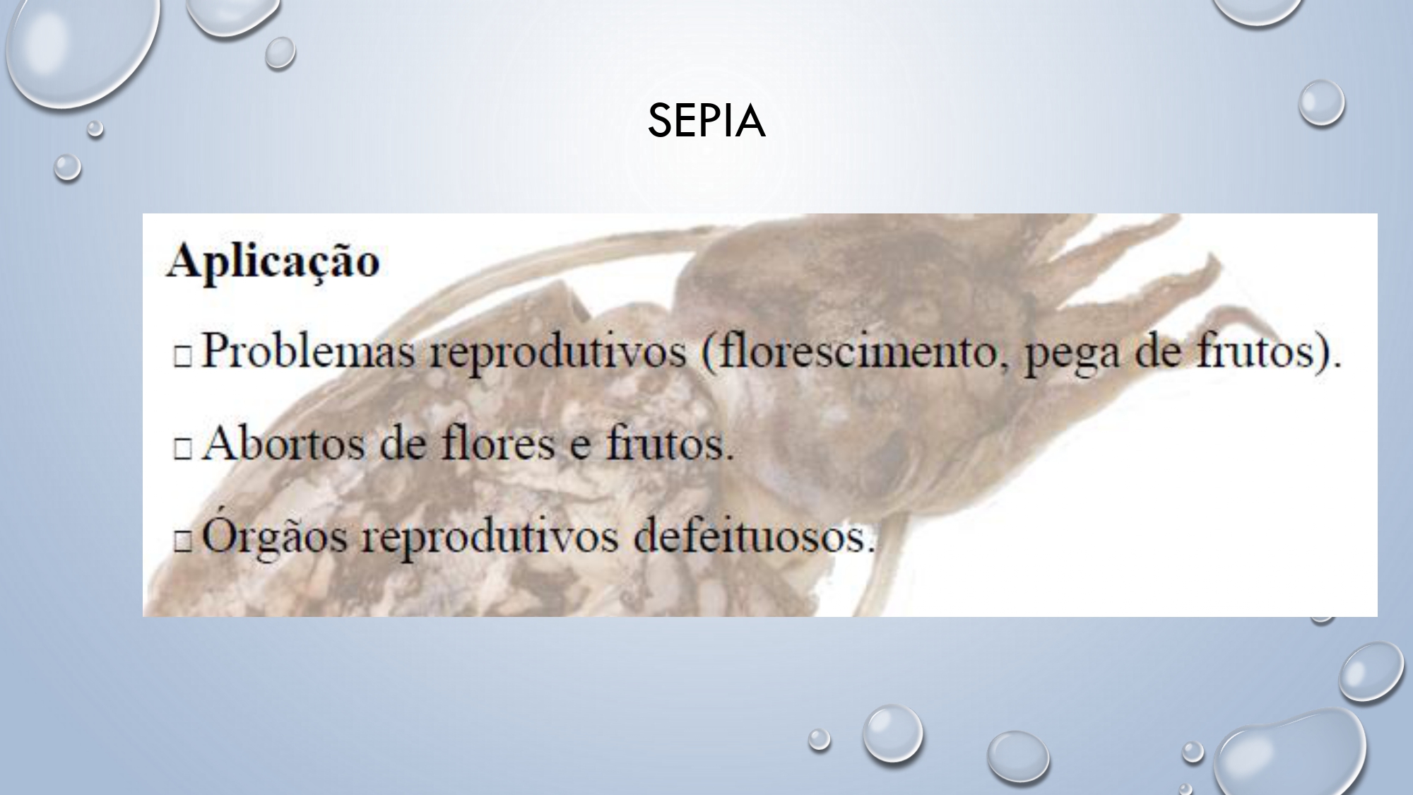 CAPA Homeopatia em Plantas - Agroecologia 3_page-0091