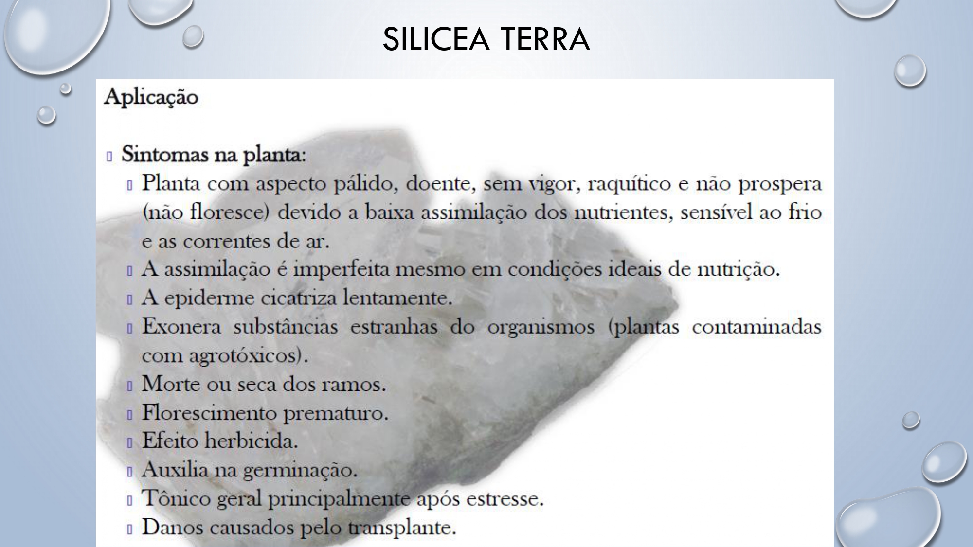 CAPA Homeopatia em Plantas - Agroecologia 3_page-0092