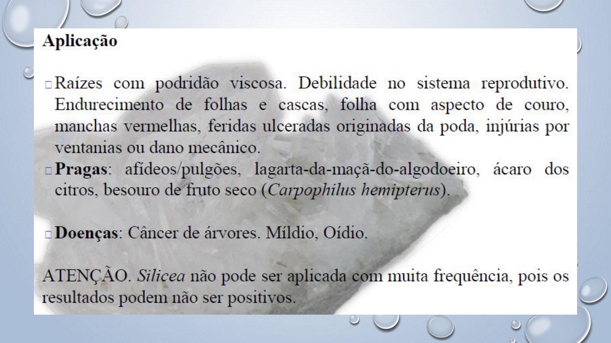 CAPA Homeopatia em Plantas - Agroecologia 3_page-0093