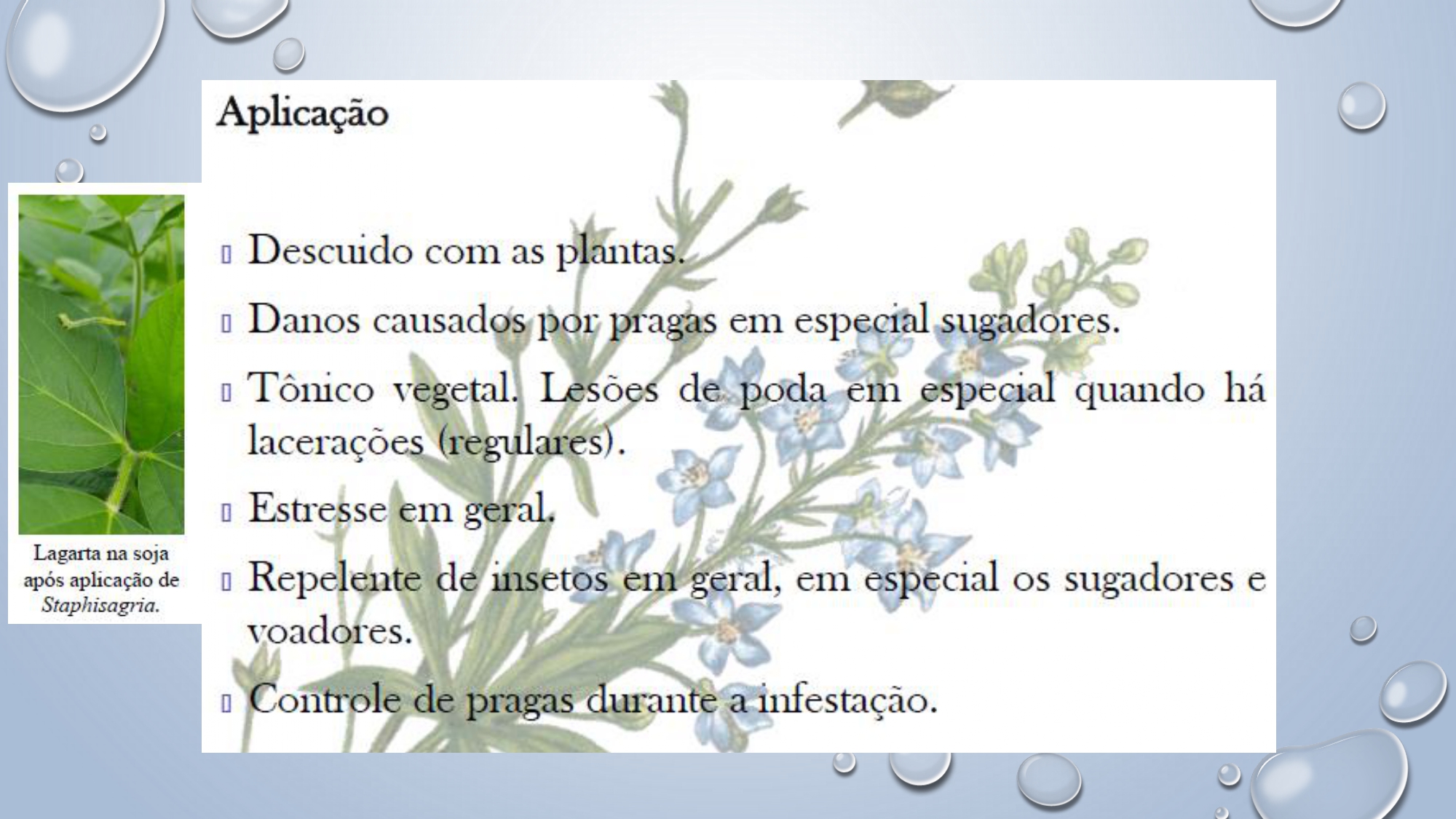 CAPA Homeopatia em Plantas - Agroecologia 3_page-0095