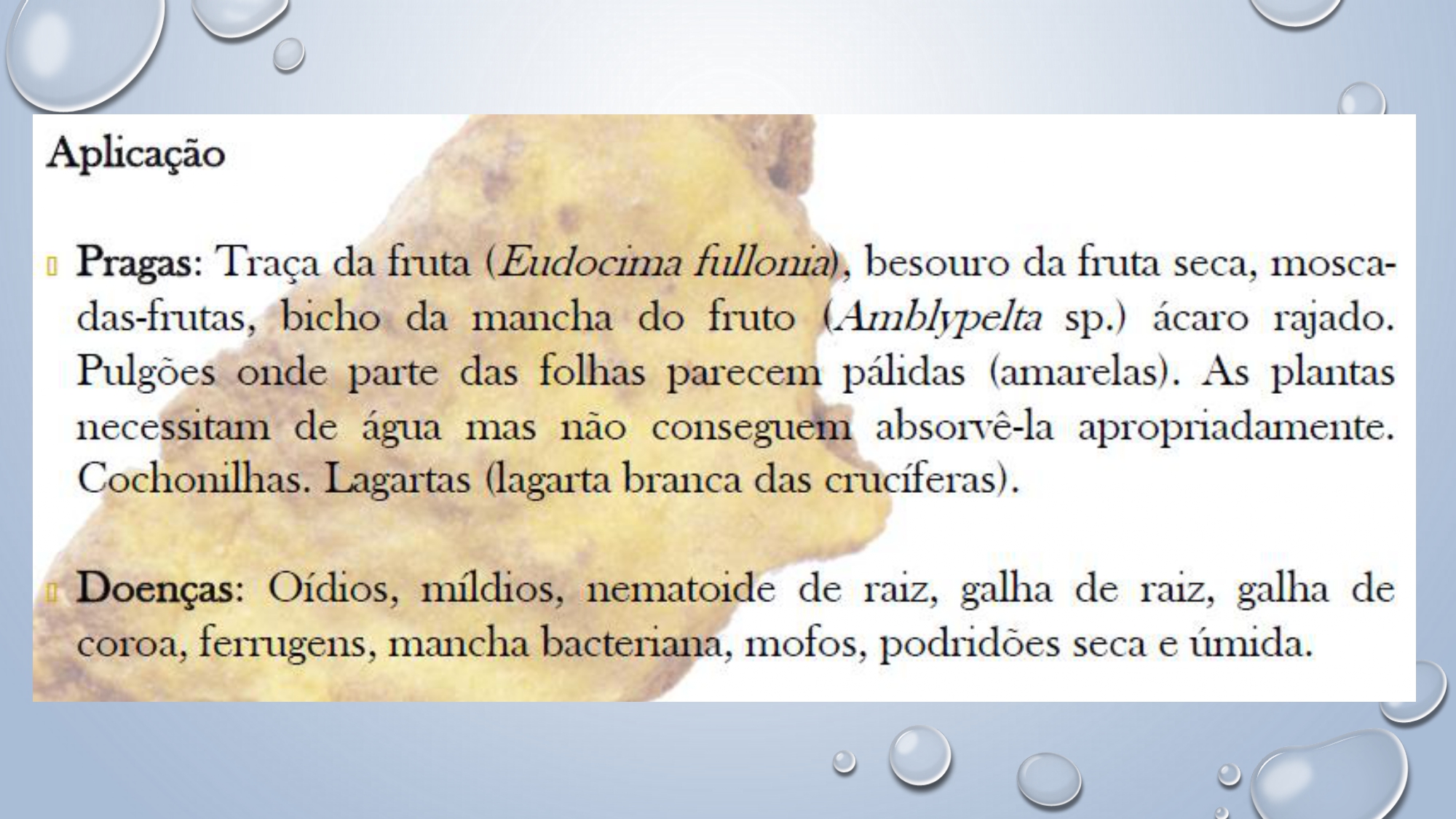 CAPA Homeopatia em Plantas - Agroecologia 3_page-0097