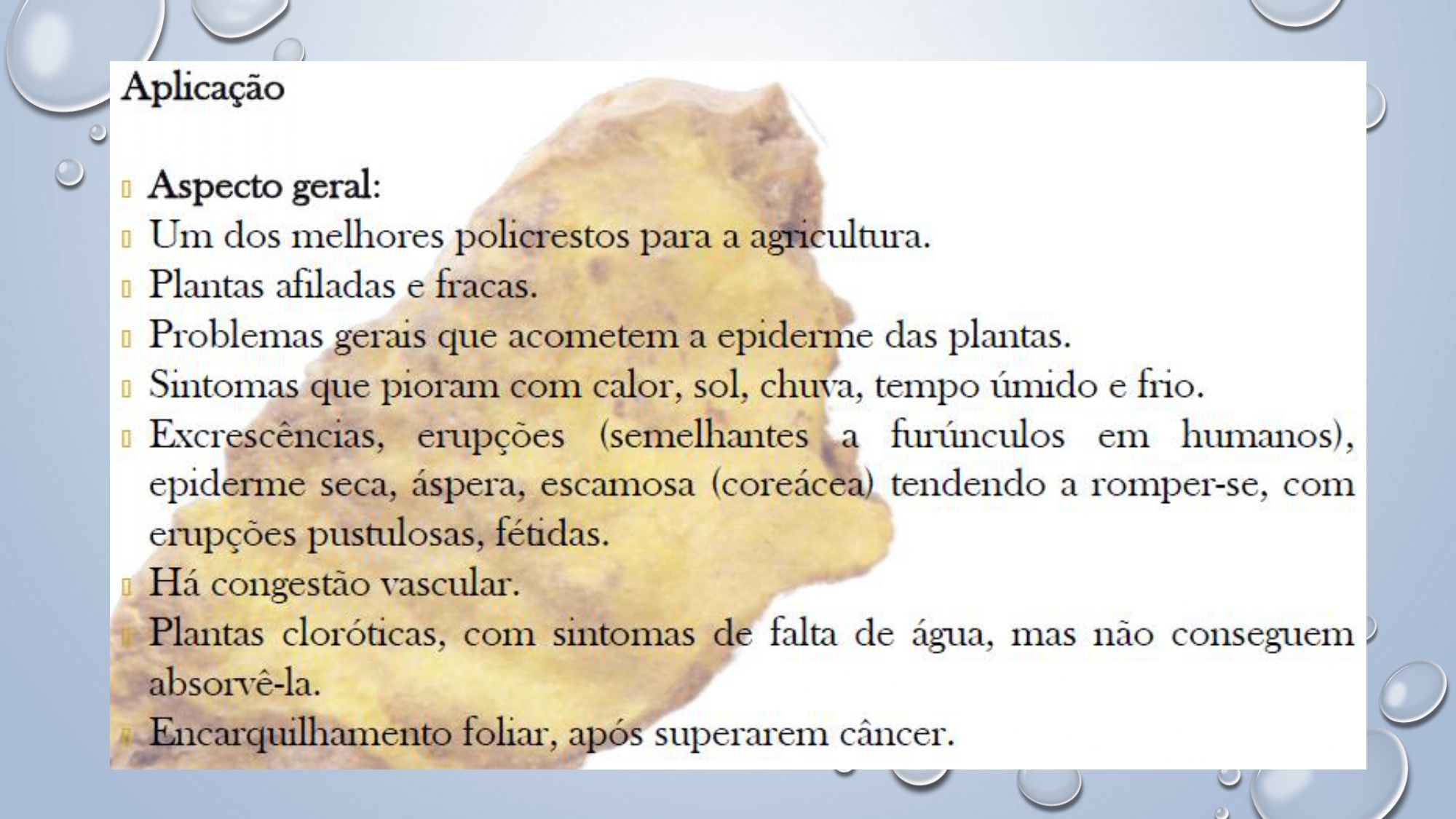 CAPA Homeopatia em Plantas - Agroecologia 3_page-0098